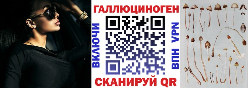 Псилоцибиновые грибы Cubensis  Щёлкино 
